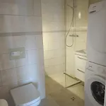 Garsonjera Eliana Apartment